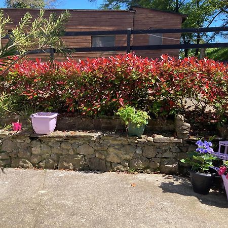 Fitzgerald'S Farmhouse Accommodation V94 Yy47 แอบบีย์เฟล ภายนอก รูปภาพ