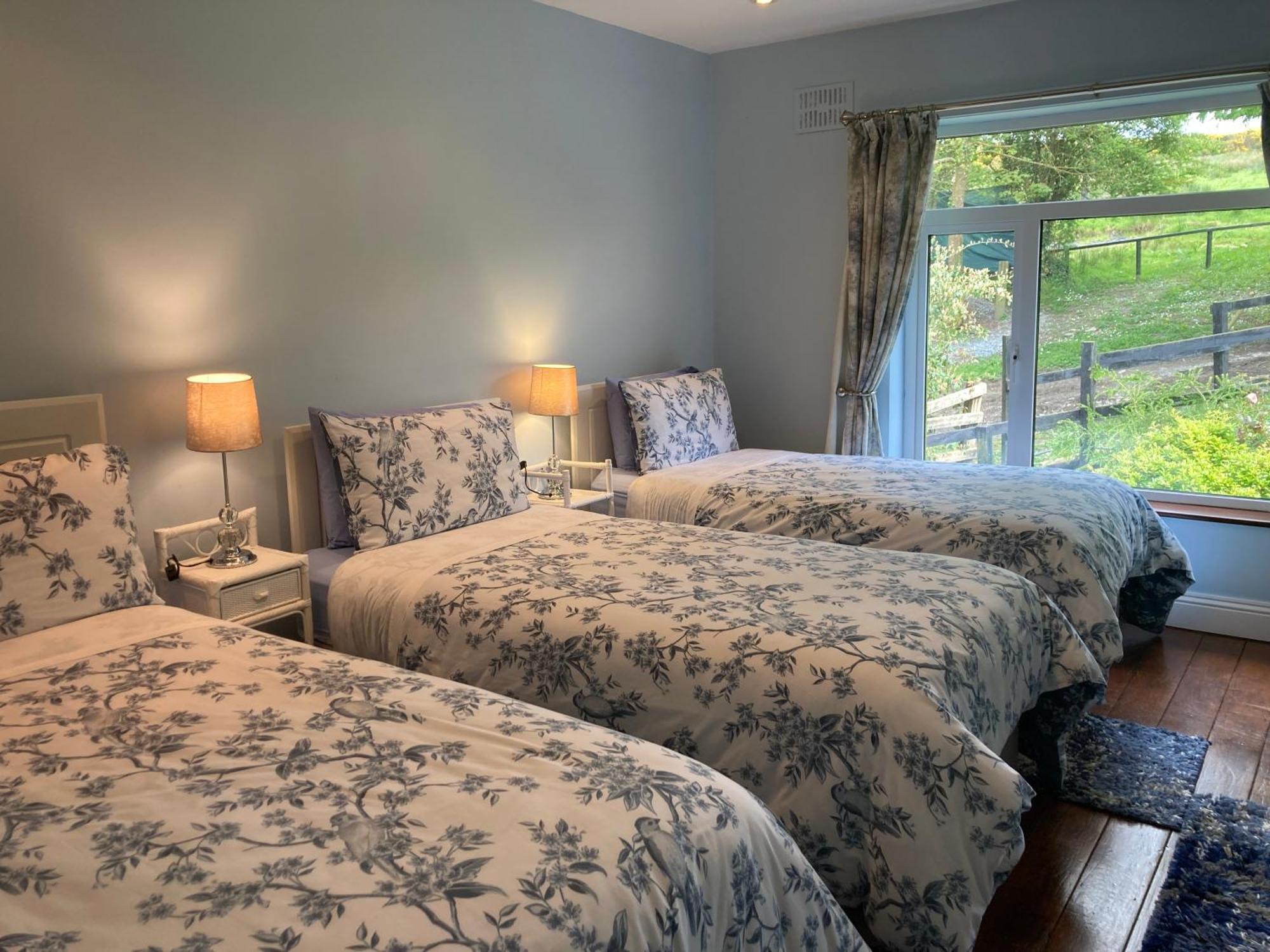 Fitzgerald'S Farmhouse Accommodation V94 Yy47 แอบบีย์เฟล ภายนอก รูปภาพ