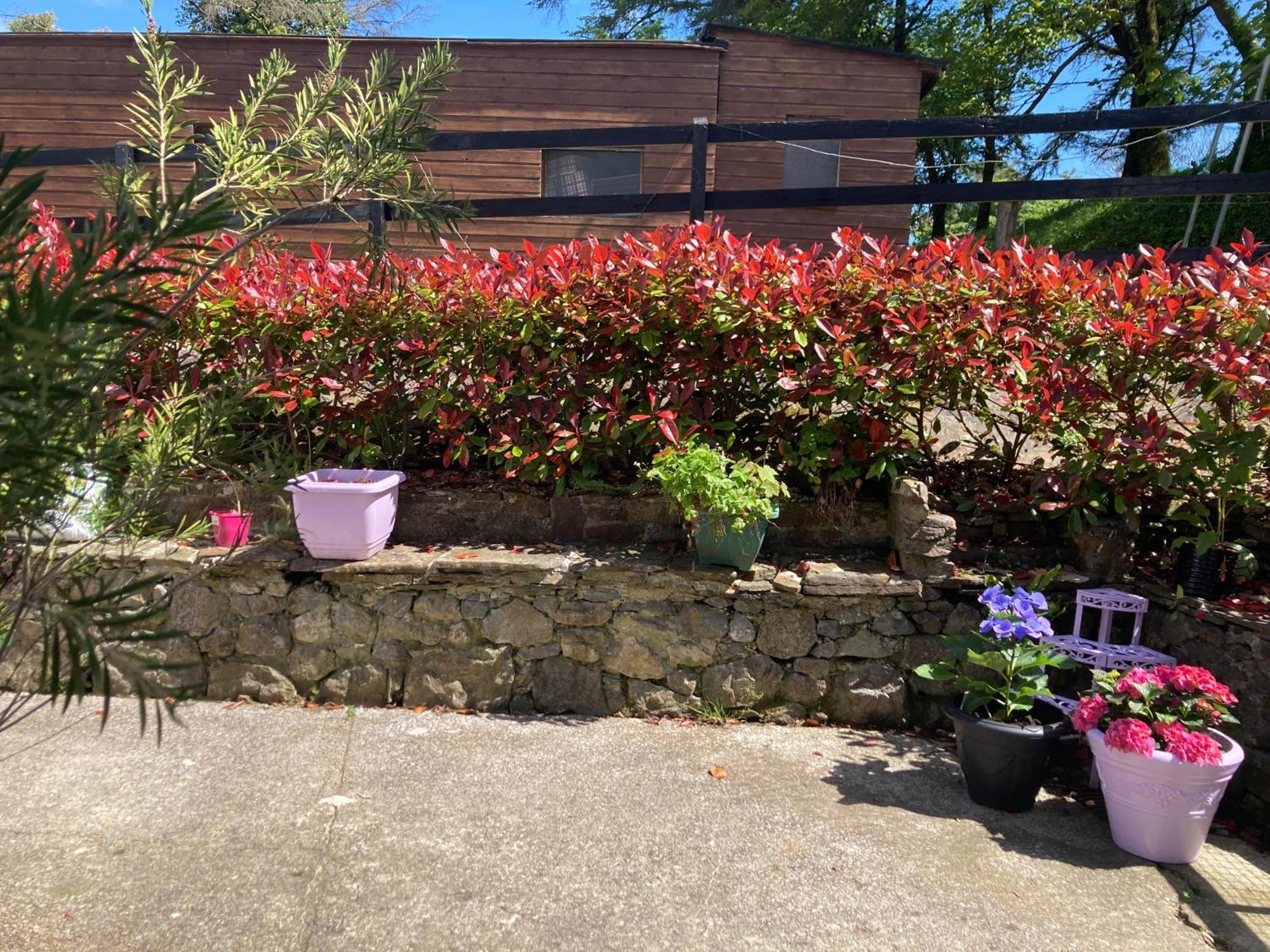 Fitzgerald'S Farmhouse Accommodation V94 Yy47 แอบบีย์เฟล ภายนอก รูปภาพ